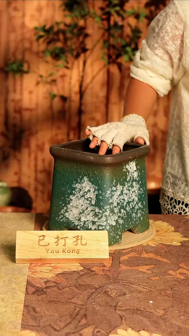 陶10-119高度18口径14已打孔