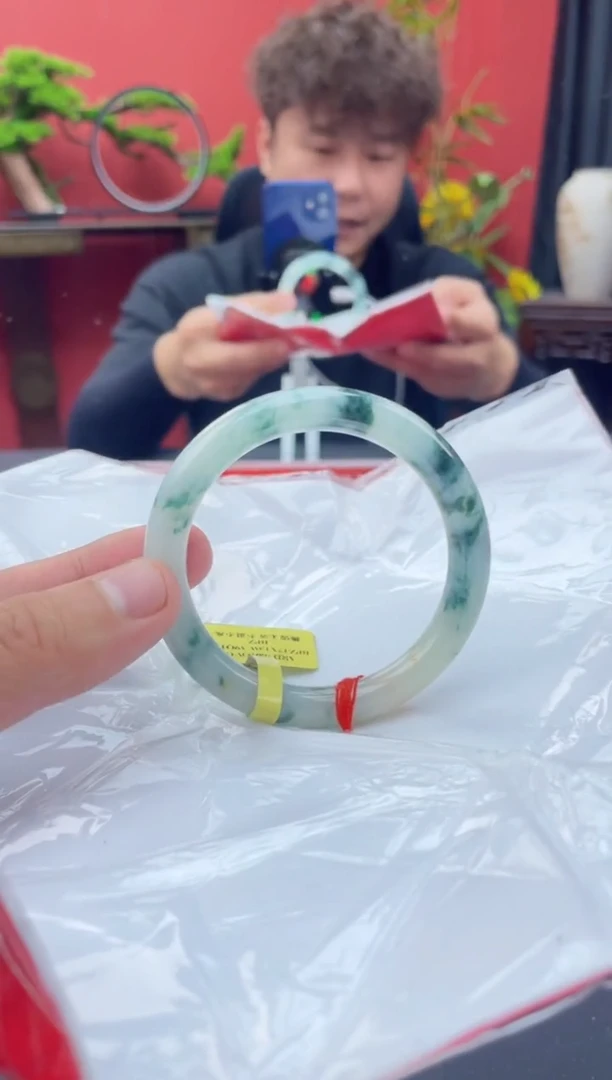 未镶嵌手镯翡翠7