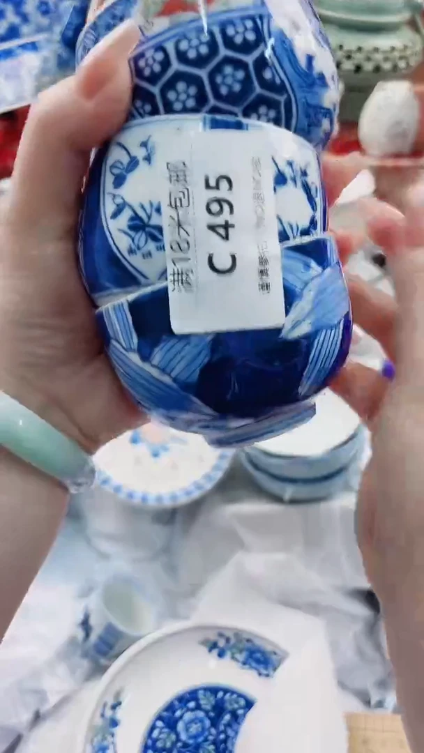 碟D495***************