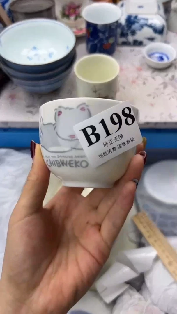 瓷片          B198