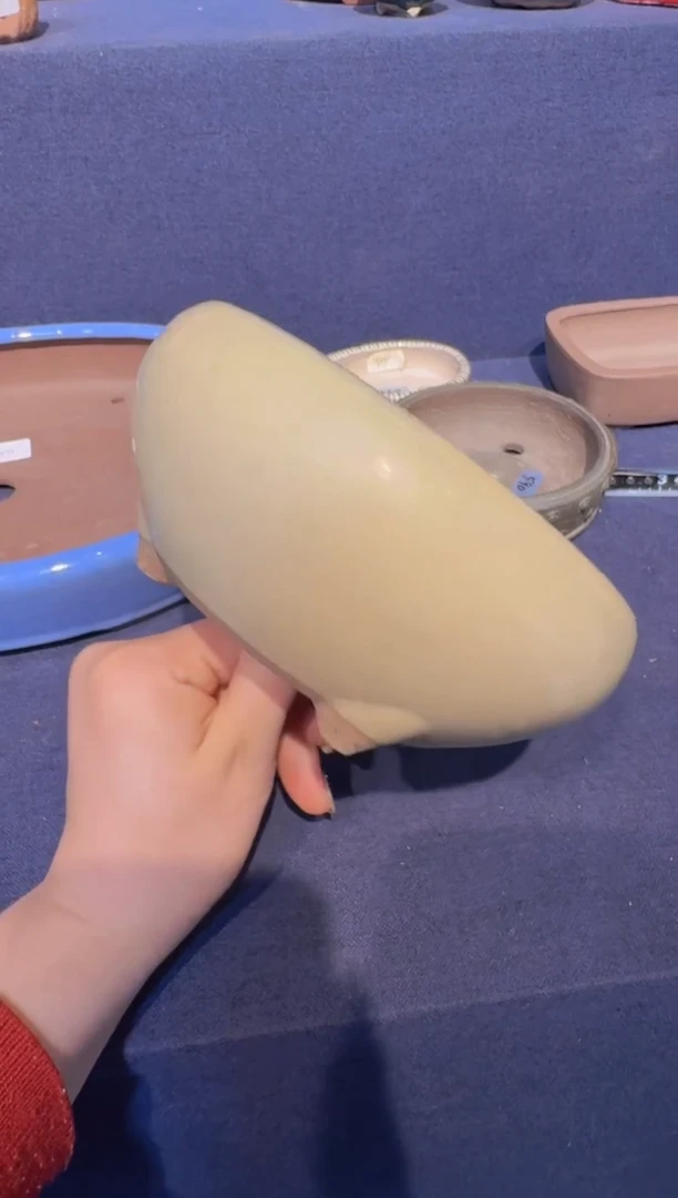 【闪购商品】-圆釉盆-X17