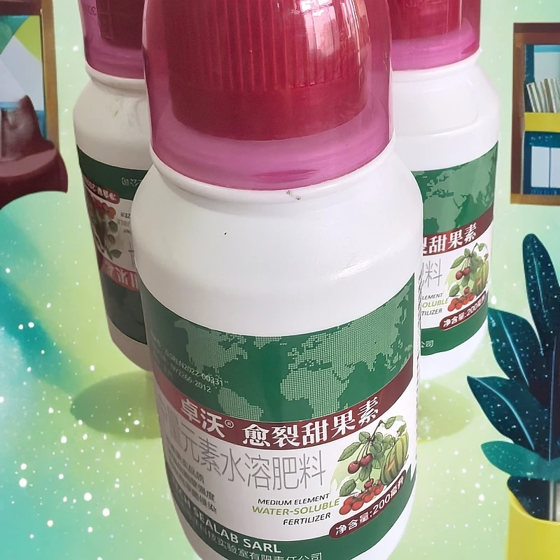 葡萄草莓青甜番茄防裂增甜2瓶装