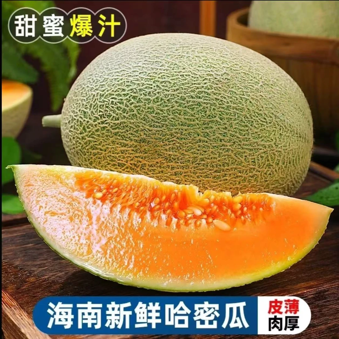 【主播推荐】正宗海南沙地哈密瓜脆甜多汁新鲜水果现摘现发