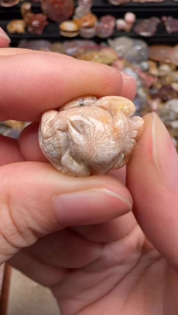 硅化珊瑚（珊瑚玉）未镶嵌颈饰261