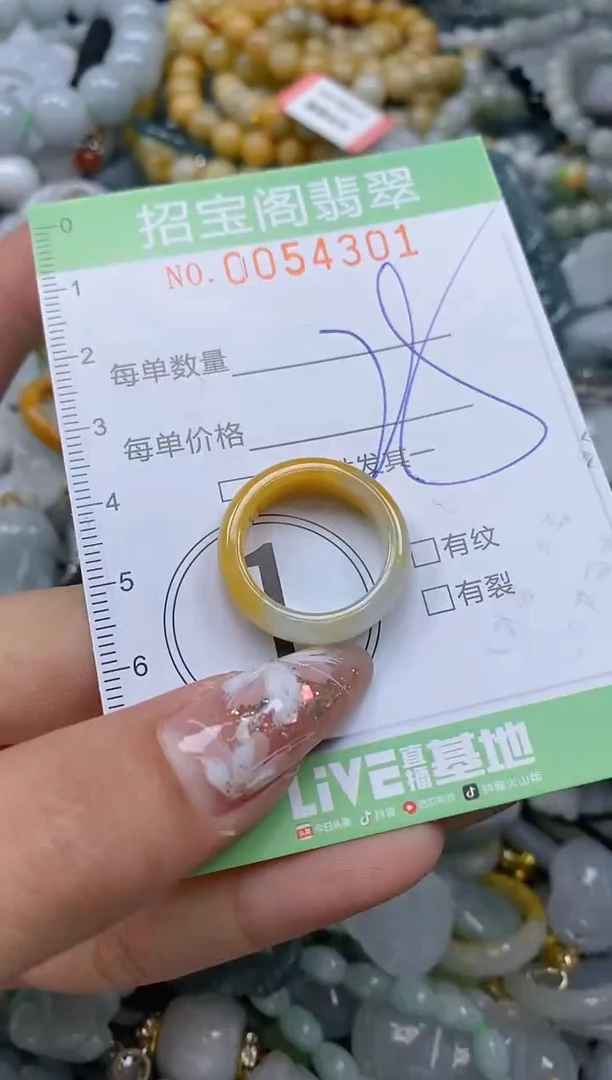 【闪购商品】翡翠颈饰未镶嵌闪购商品0054301