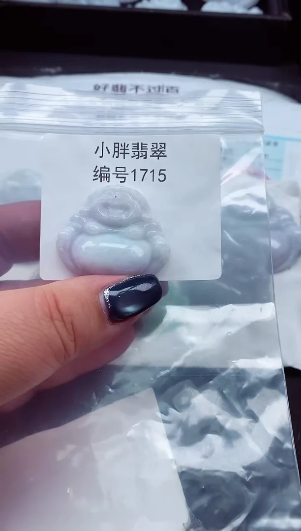 颈饰未镶嵌翡翠缅甸天然A货翡翠1715