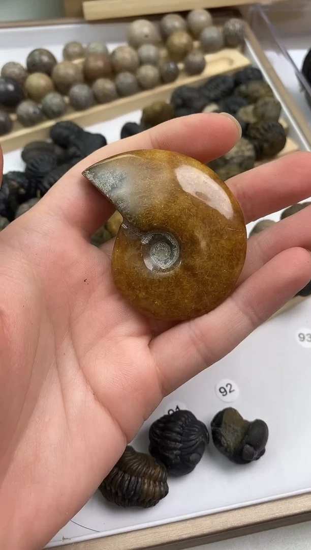 精美摆件创意礼物家居配饰新年礼物个人收藏