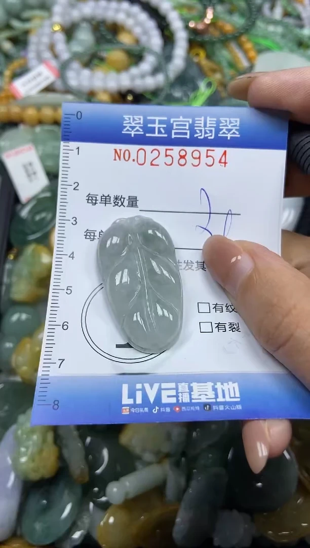 颈饰未镶嵌翡翠闪购C0258954