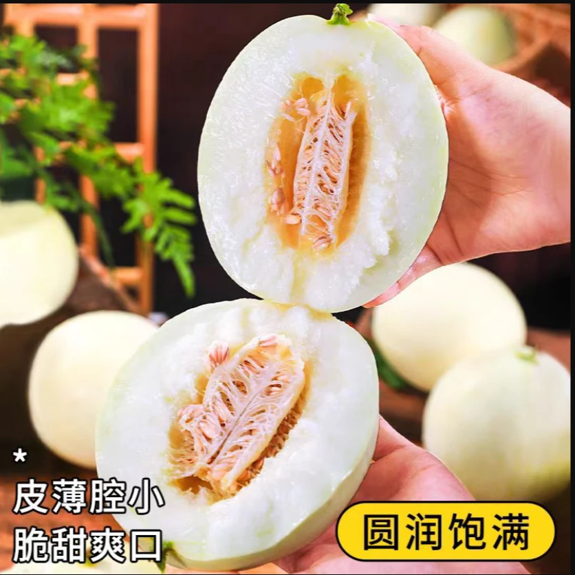陕西阎良小籽甜瓜新鲜现摘产地直发脆爽甘甜整箱5斤/8斤包邮