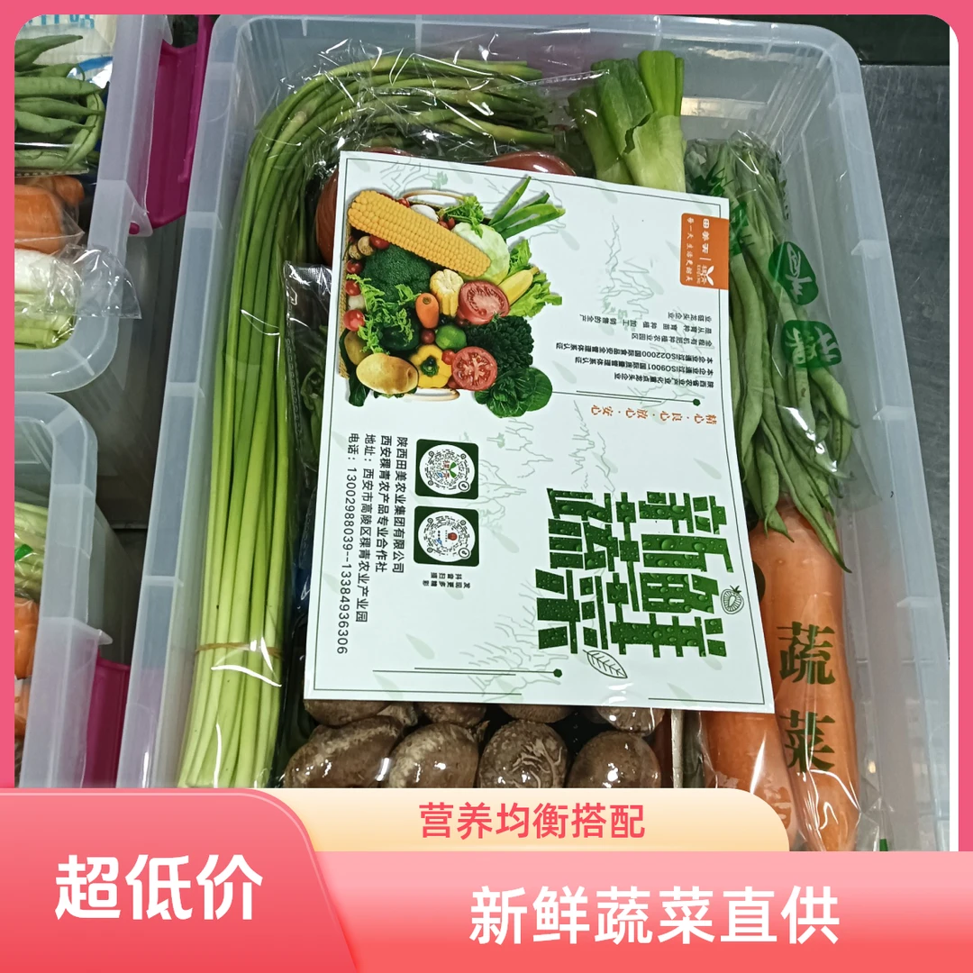 【周五特惠】蔬菜套餐组合20个品种+姜蒜净重约20斤新鲜