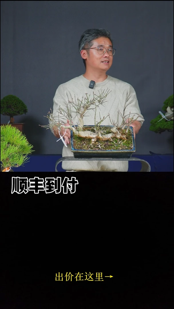 无花朵c141真弓bubaoyou