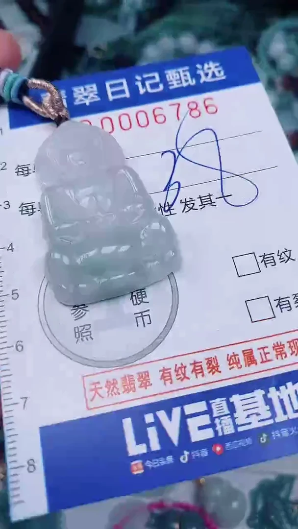 翡翠未镶嵌颈饰00006786