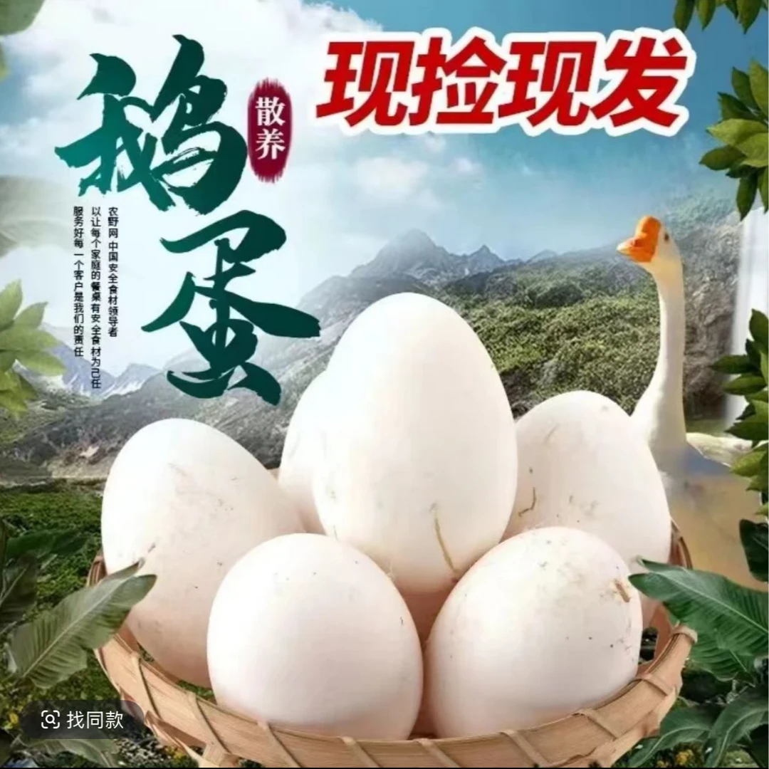 【拍10枚送10枚】新鲜现捡农家土鹅蛋单黄大雁鹅蛋80g-100g破损包赔