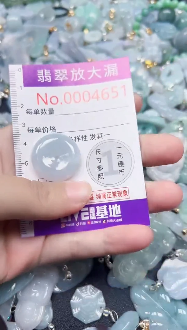 颈饰未镶嵌翡翠4651