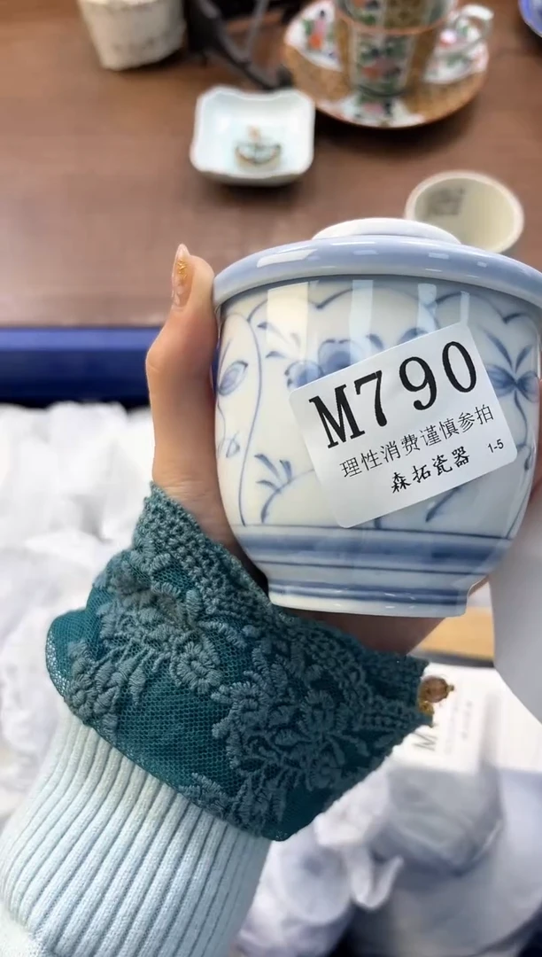 【闪购商品】瓷片----------M790
