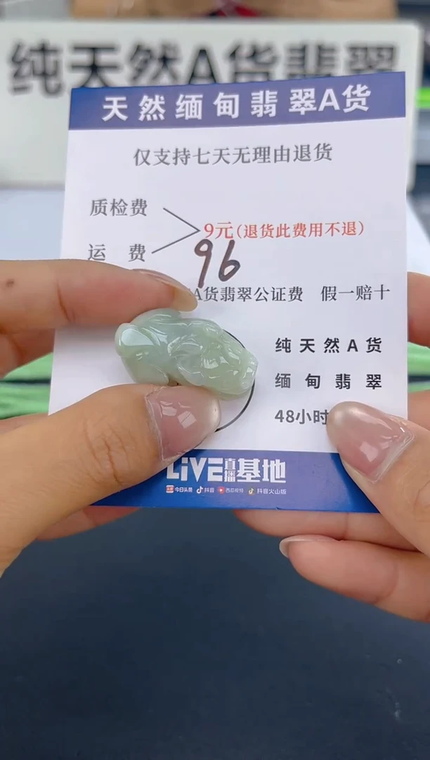 颈饰未镶嵌翡翠微瑕 有纹