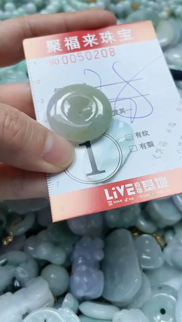 【闪购商品】翡翠颈饰未镶嵌闪购0050208