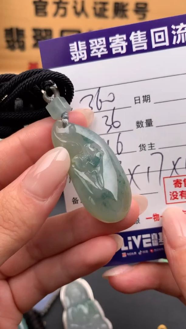 翡翠未镶嵌颈饰10133597