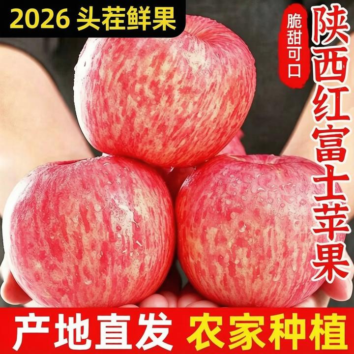 陕西高原红富士苹果2026头茬新果当季新鲜水果脆甜皮薄多汁F