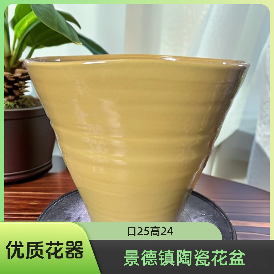 中秋国庆简约欧式风花盆办公室桌面适用水培土培多肉绿植通用