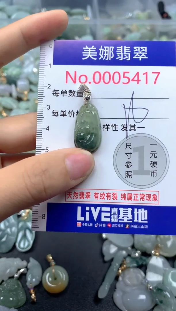 颈饰未镶嵌翡翠5417