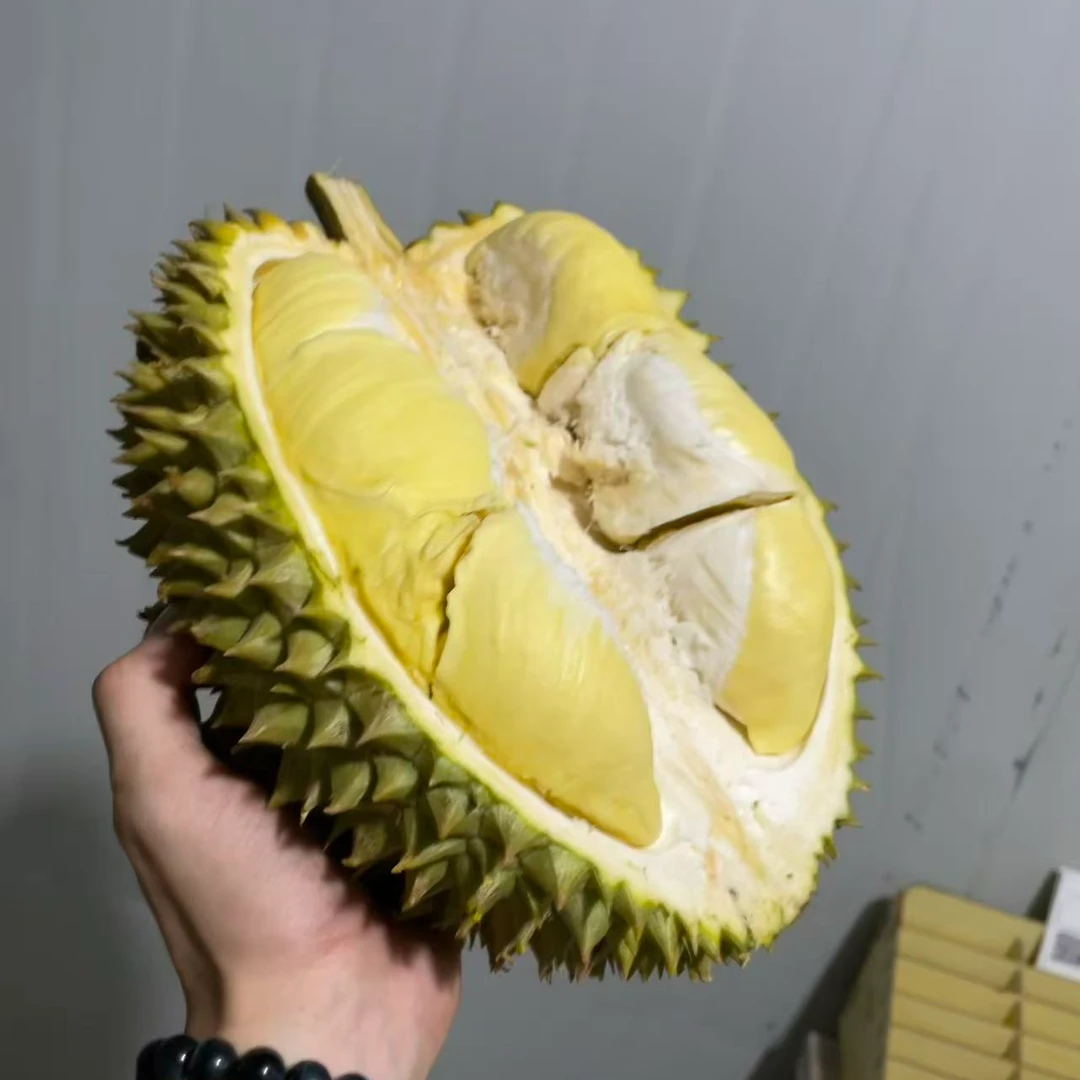 狗子手挑：私人定制越南金枕 A果（保4房，不保出肉率)