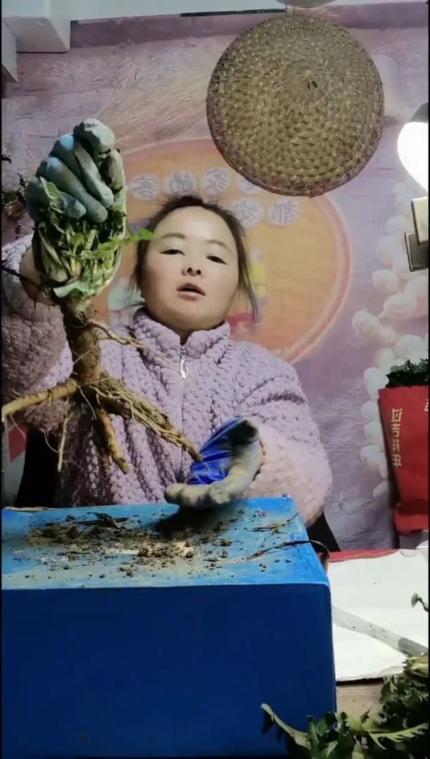 少量花朵（建议范围：2朵-5朵 或40%以下）Y**L蒲公英