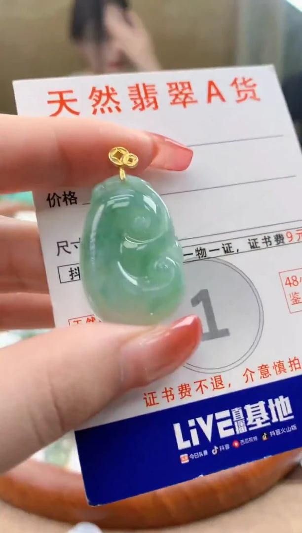 颈饰未镶嵌翡翠天然A货翡翠挂件