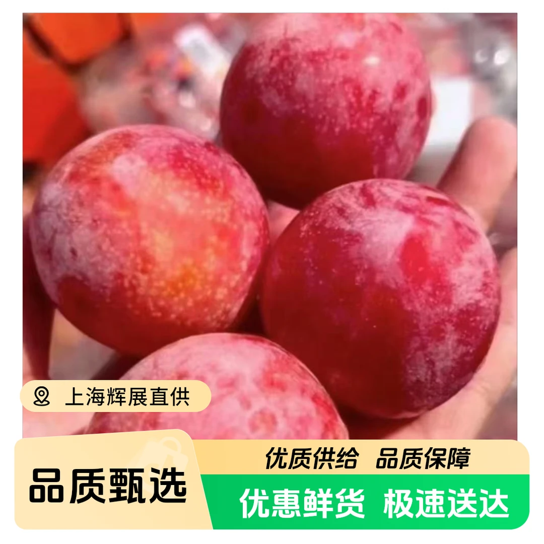 吉制进口樱桃李层次丰富口感好 500g~2500g