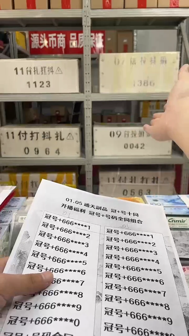 【六六大顺】通天豹冠+号十同龙凤胎标十对