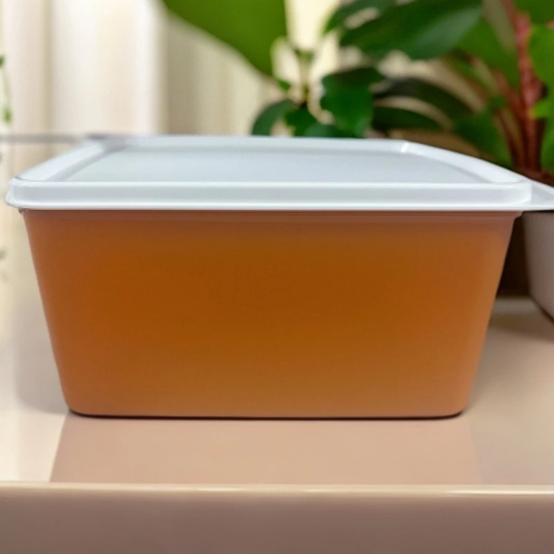 2.5升缤纷保鲜盒蔬菜水果冷藏密封储藏盒防潮收纳