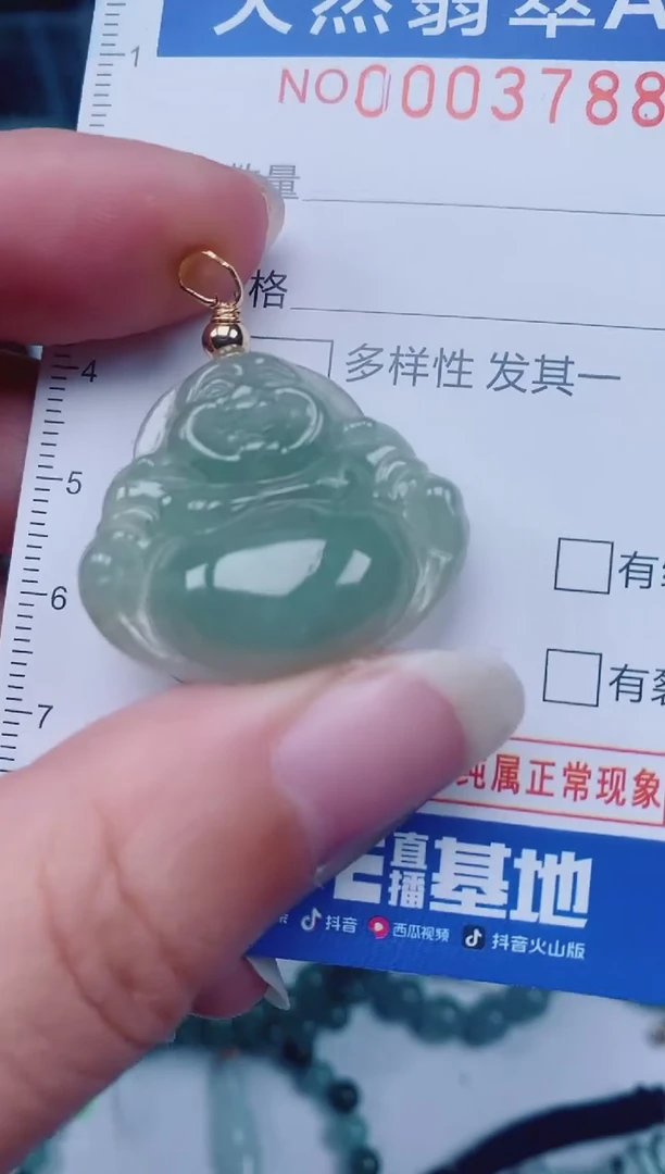颈饰未镶嵌翡翠00003788