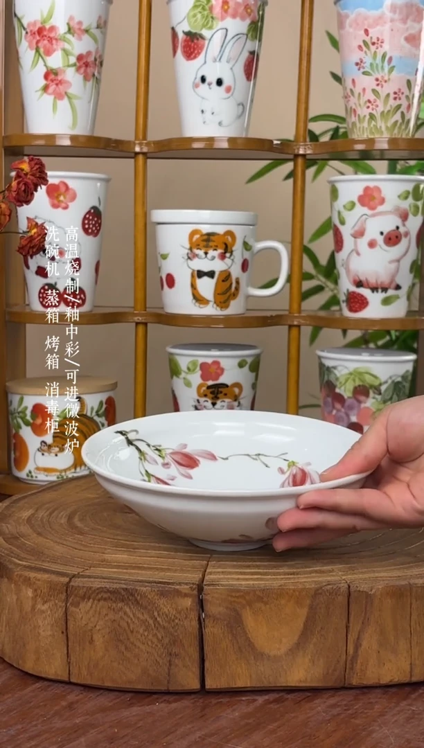瓷片景德镇手绘釉中彩（食品级）大斗笠碗