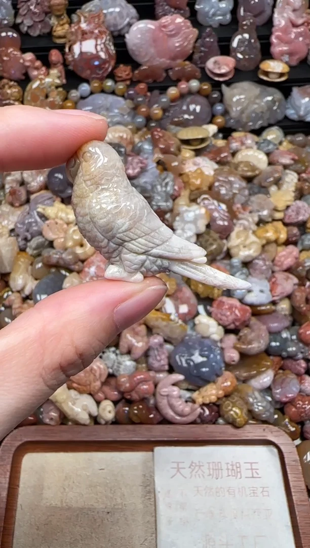 颈饰未镶嵌硅化珊瑚（珊瑚玉）236