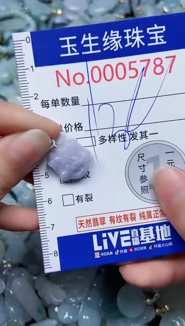 【闪购商品】翡翠颈饰未镶嵌闪购00005787