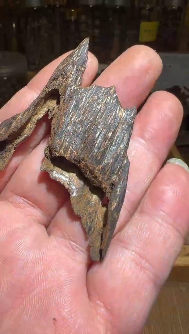 沉香沉香碎屑海南3克