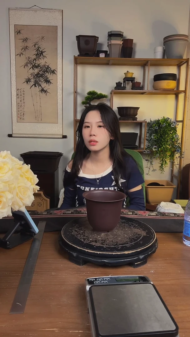 10只15口径金钟紫檀色