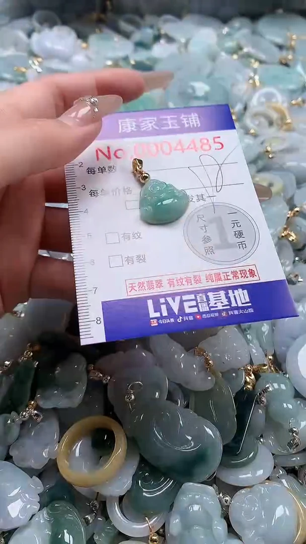 翡翠未镶嵌吊坠(不含链)4485