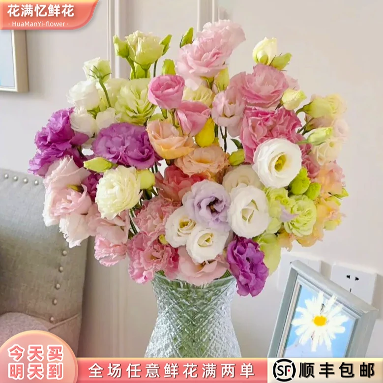 抢新品-次日达 -【混搭桔梗】1份鲜花鲜切花家居优选批发任意两单升级顺丰包邮三单送随机花瓶今天拍明天到ww