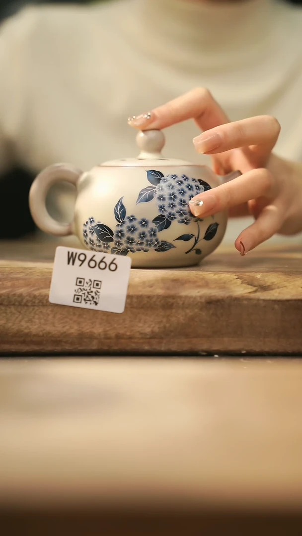 【闪购商品】【经典福利】/ 壶@@W9666