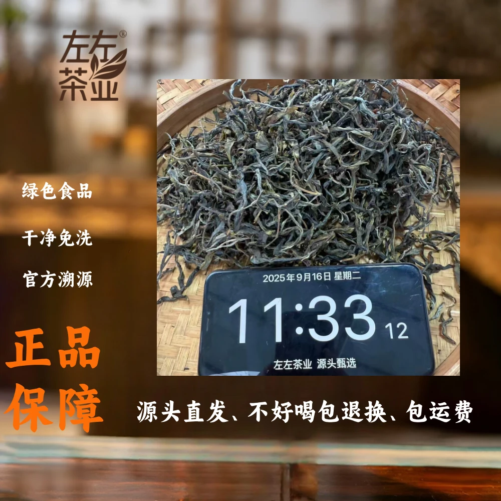 【251号】2025年冰岛产区懂过古树春茶普洱生茶9月16日100克