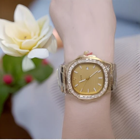 RASIR机械表含金奢华配饰带NASIR日志系列时尚气质装饰手表