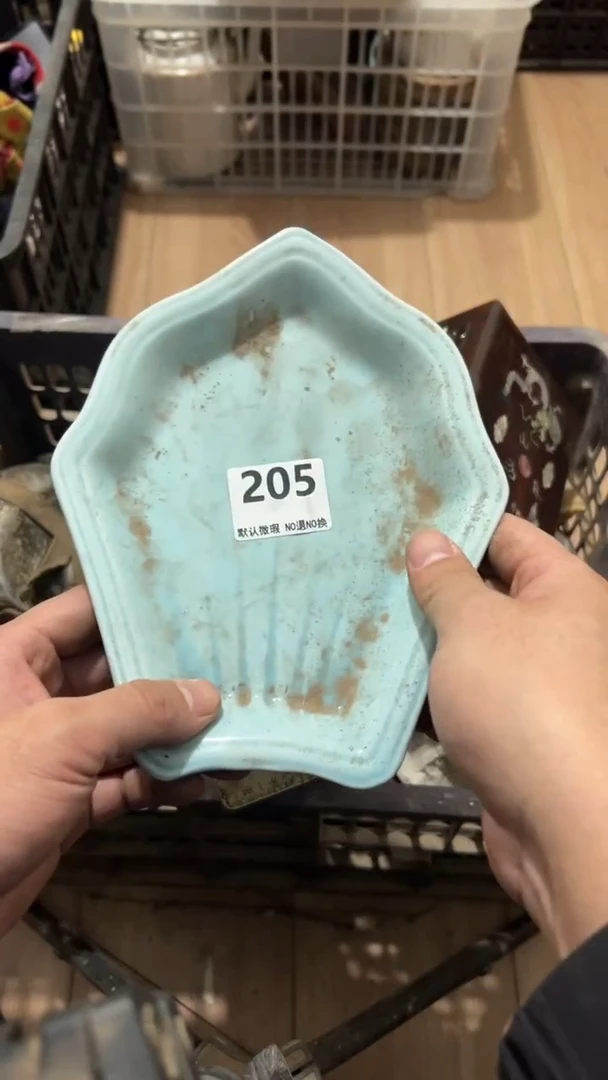 陶瓷逸****晨2026.1.3号205