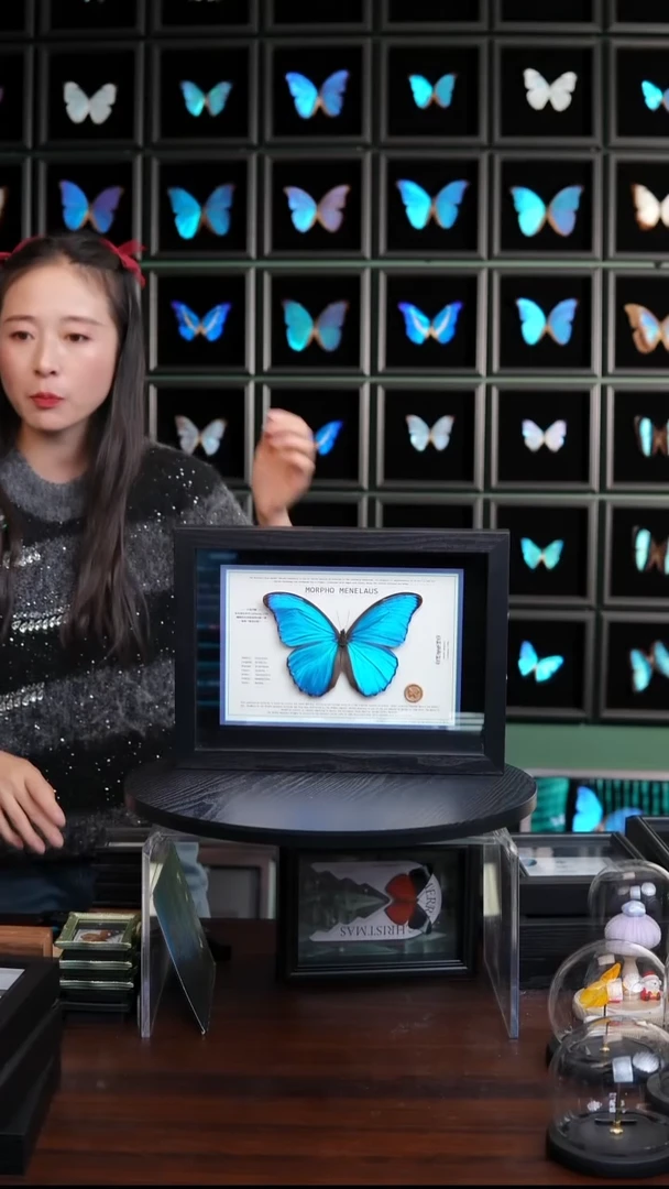 大蓝闪蝶新版本A4横版（带证书）