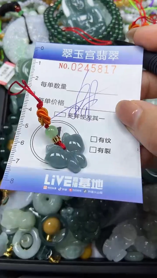 颈饰未镶嵌翡翠闪购C0245817多样性发其一