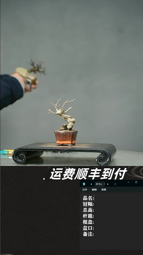 【闪购商品】10山楂