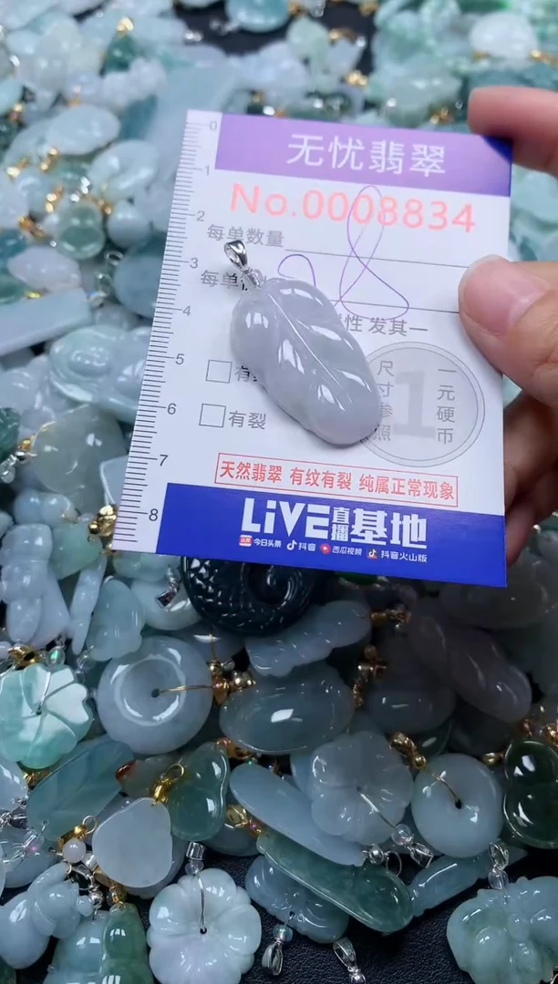 颈饰未镶嵌翡翠8834