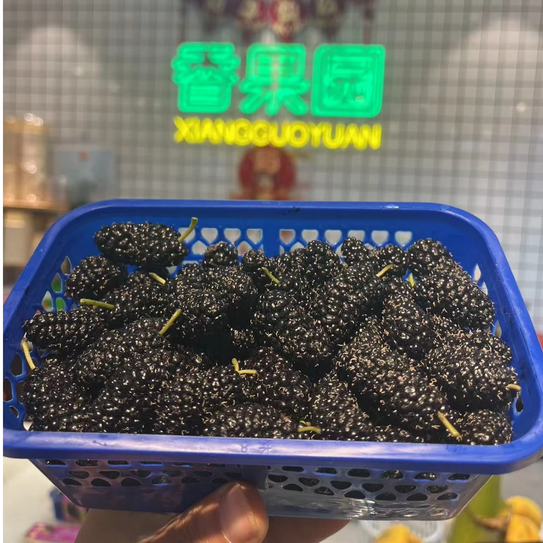 【当季爆款】桑葚盒装约250克