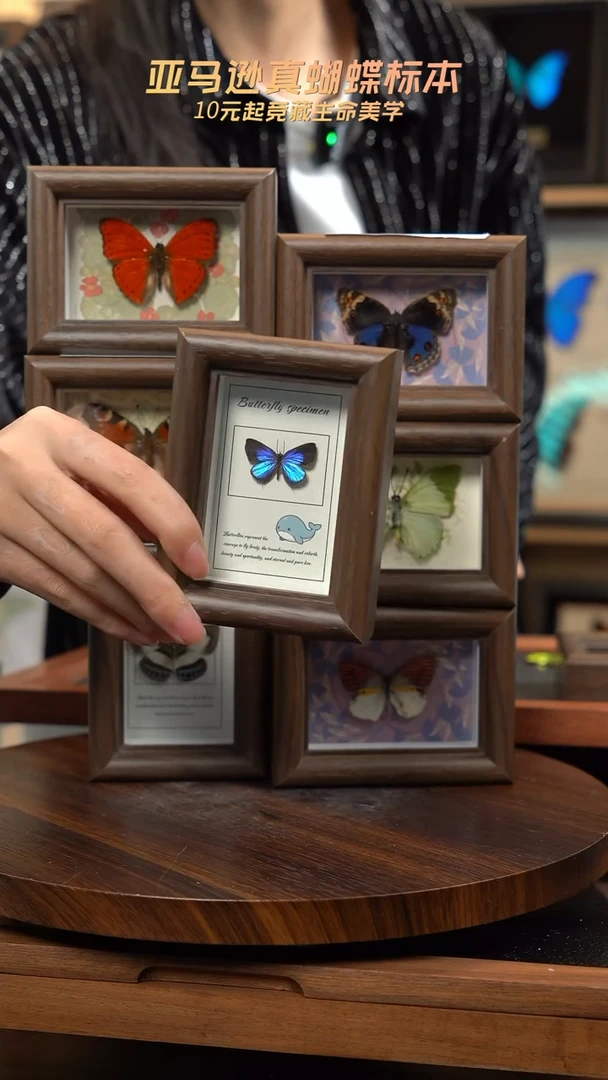 雅灰蝶新款冰箱贴