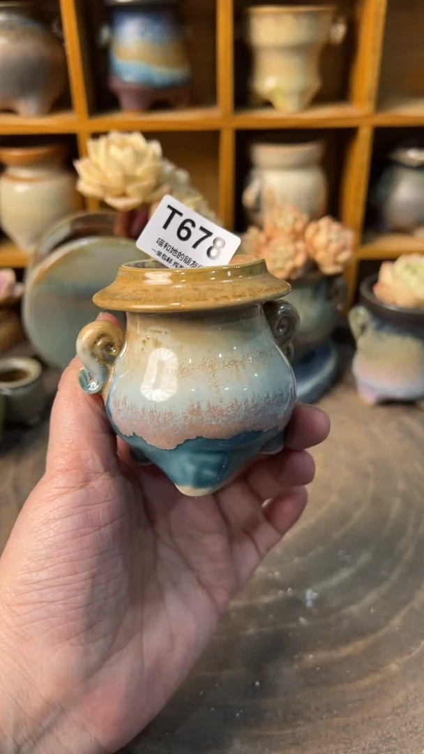 678 内口4【多肉花盆多肉盆】